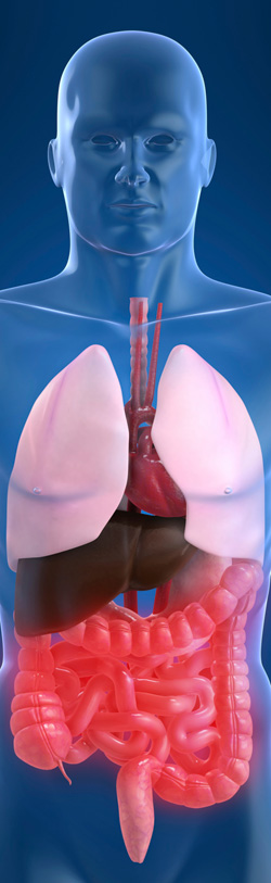 Romie Lane Dental Group Periodontal Illustration 4